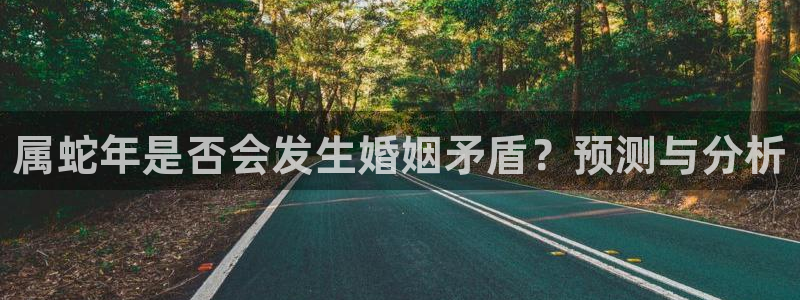 欧陆平台注册入口与教程：属蛇年是否会发生婚姻矛盾？预测与分析