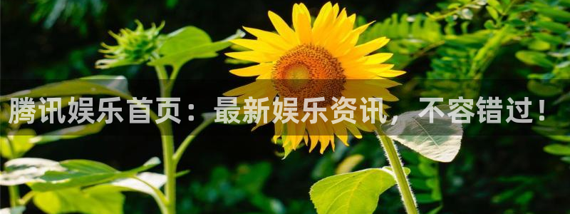 福建欧陆平台机电股份公司：腾讯娱乐首页：最新娱乐资讯，不容错过！