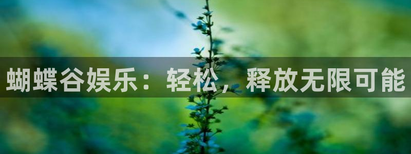 欧陆平台官网版下载链接：蝴蝶谷娱乐：轻松，释放无限可能