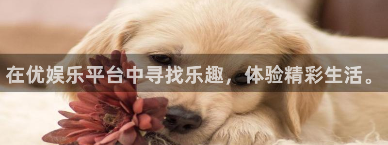 欧陆平台平台下载入口：在优娱乐平台中寻找乐趣，体验精彩生活。