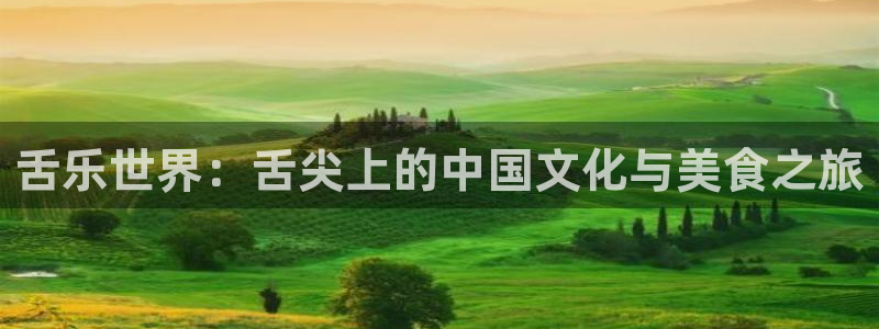 欧陆平台可靠吗：舌乐世界：舌尖上的中国文化与美食之旅