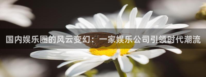 欧陆平台代理注册官网入口：国内娱乐圈的风云变幻：一家娱乐公司引领时代潮流